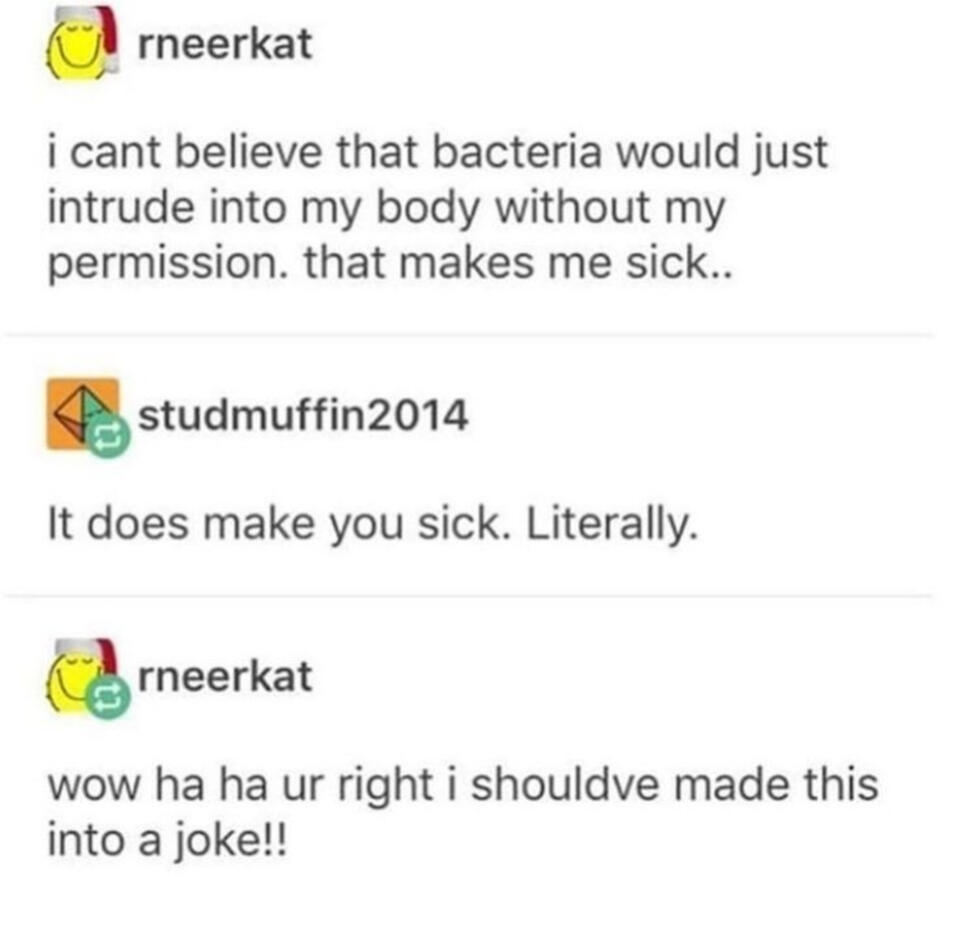 Why Memes Win: Internet Humor Wars