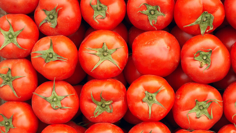 Tomato Toast Drama: 500+ Sick at Spanish Fair