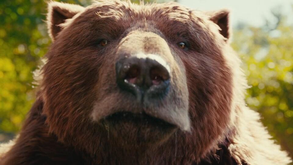 Taylor Swift Bear Rumor in Happy Gilmore 2 🐻