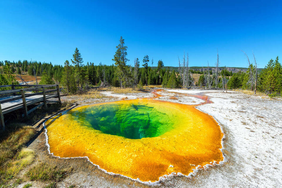 Yellowstone’s Morning Glory pool is losing its blue