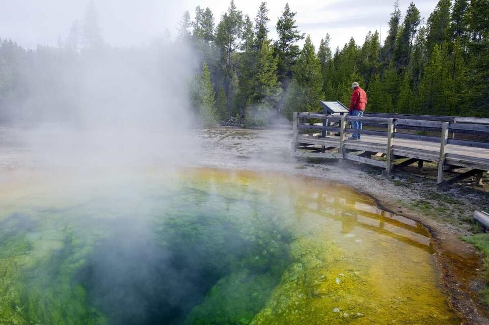 Yellowstone’s Morning Glory pool is losing its blue