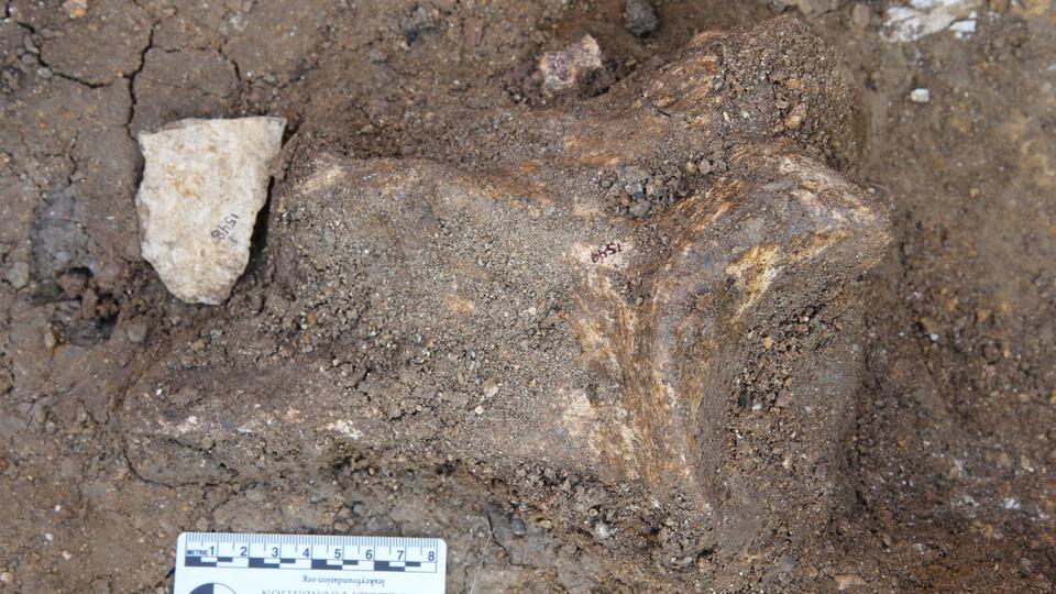 Ancient Humans Were Master Planners?!