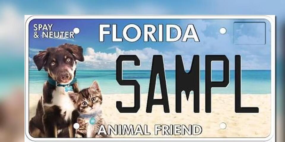 Florida boosts animal care with $750K grants