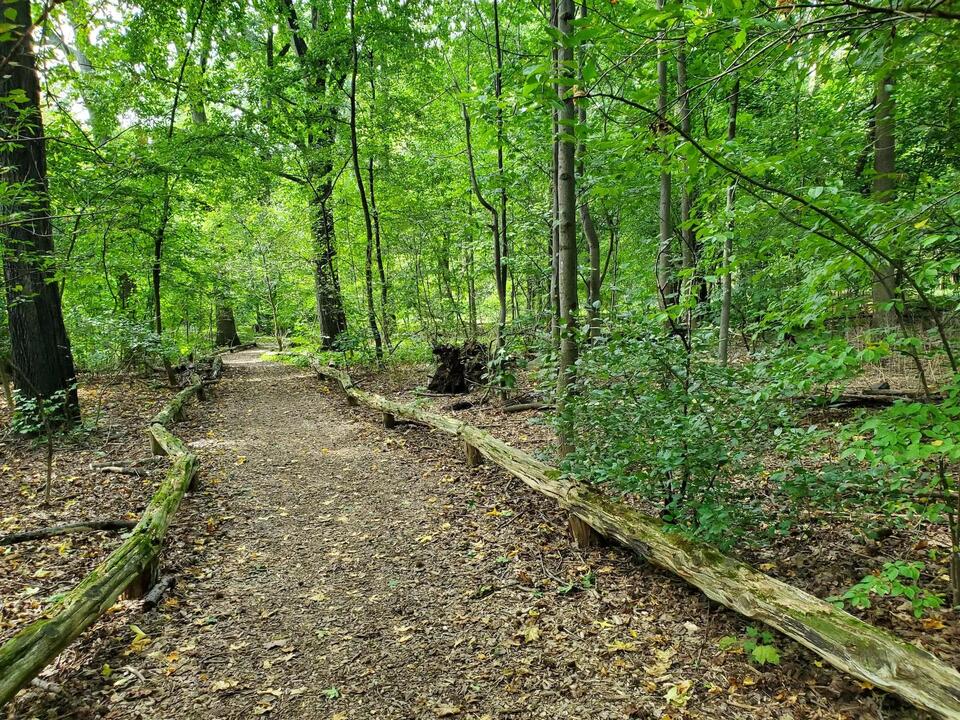 Prospect Park’s new trails: Explore, don’t disturb!