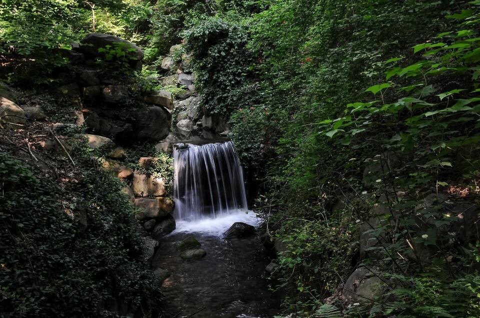 Prospect Park’s new trails: Explore, don’t disturb!