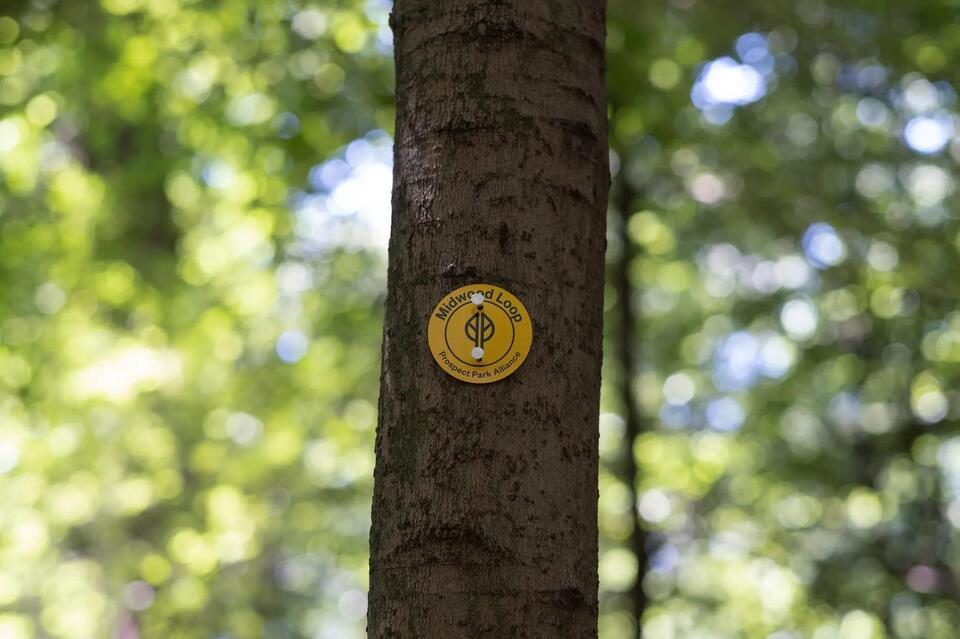 Prospect Park’s new trails: Explore, don’t disturb!