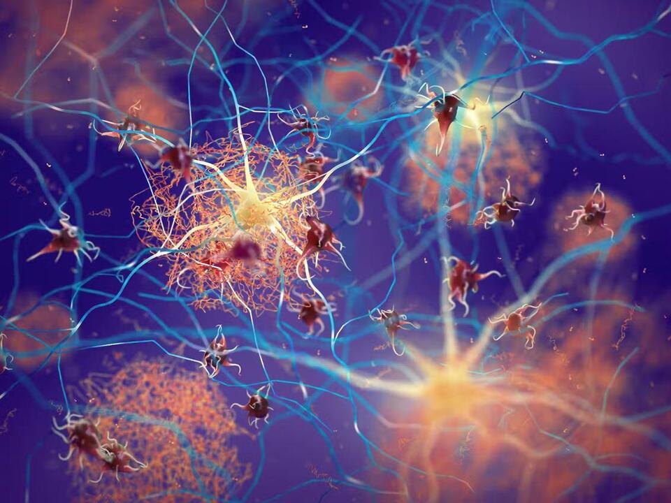 Lithium: The Brain’s Secret Defender?