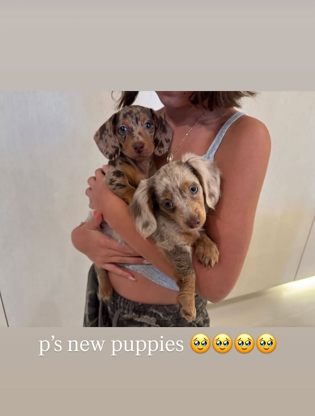 Kylie Jenner’s Puppy Reveal Is Too Cute