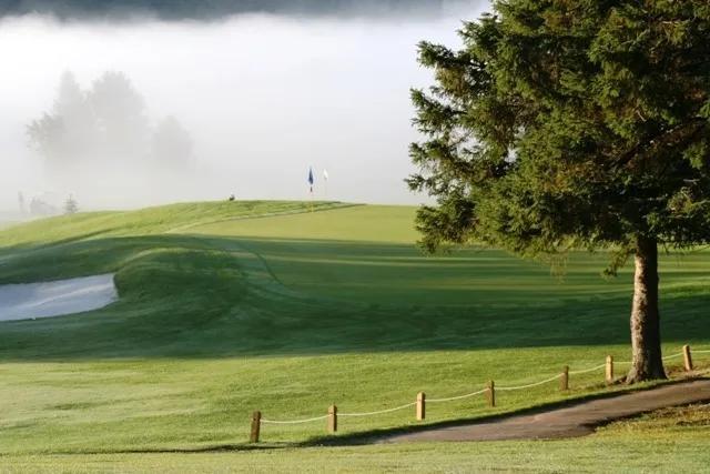 Golfers find new path to cross-border play