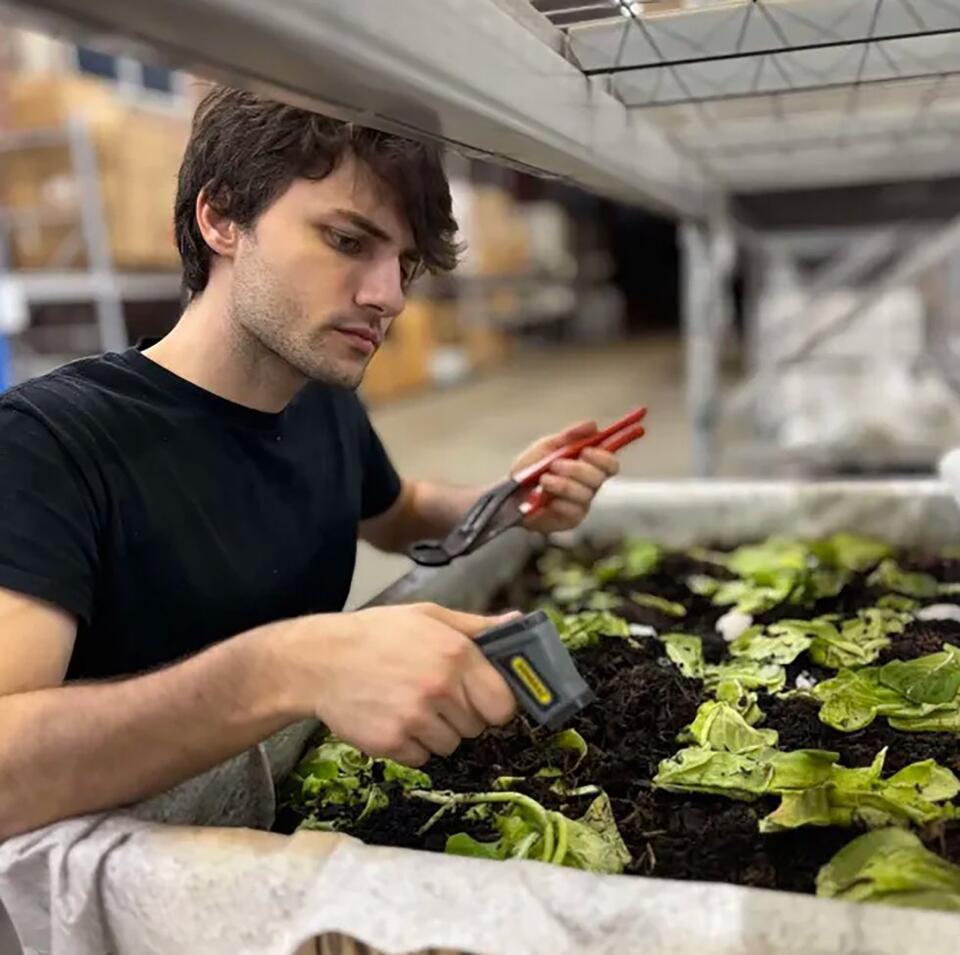 Worms Eating Plastic? This Texas Startup Is Wild