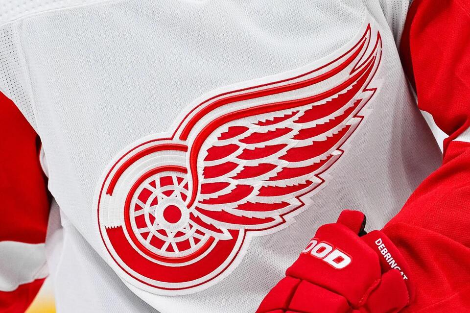 Red Wings Fans Sound Off on Hamonic Deal