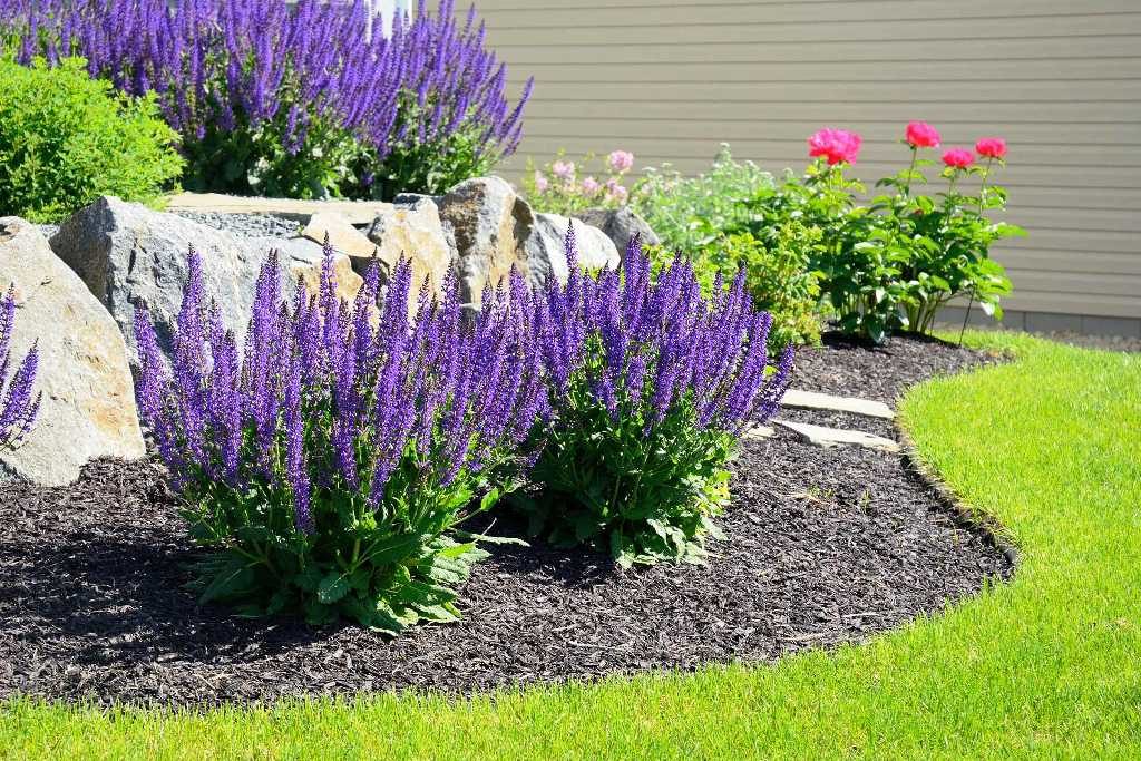 the mystery $500 landscaping fee