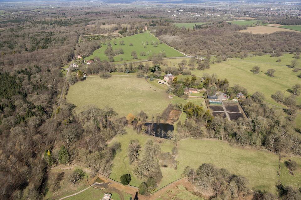 Forest Lodge Drama: Royals' Neighbors Forced Out? 👀