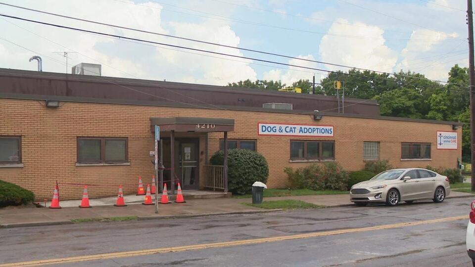 Cincy’s Animal Shelter Glow-Up!