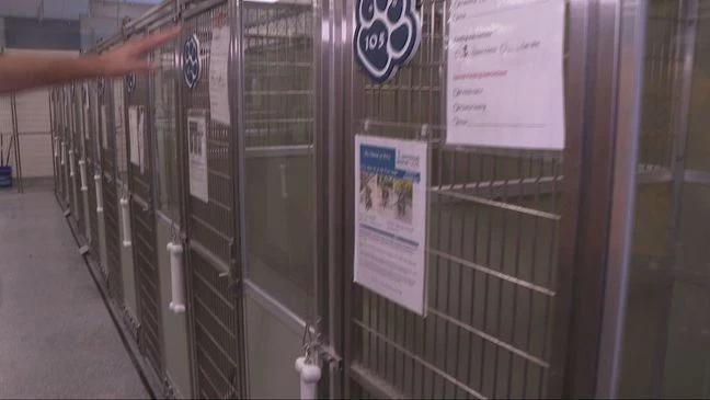 Cincy’s Animal Shelter Glow-Up!