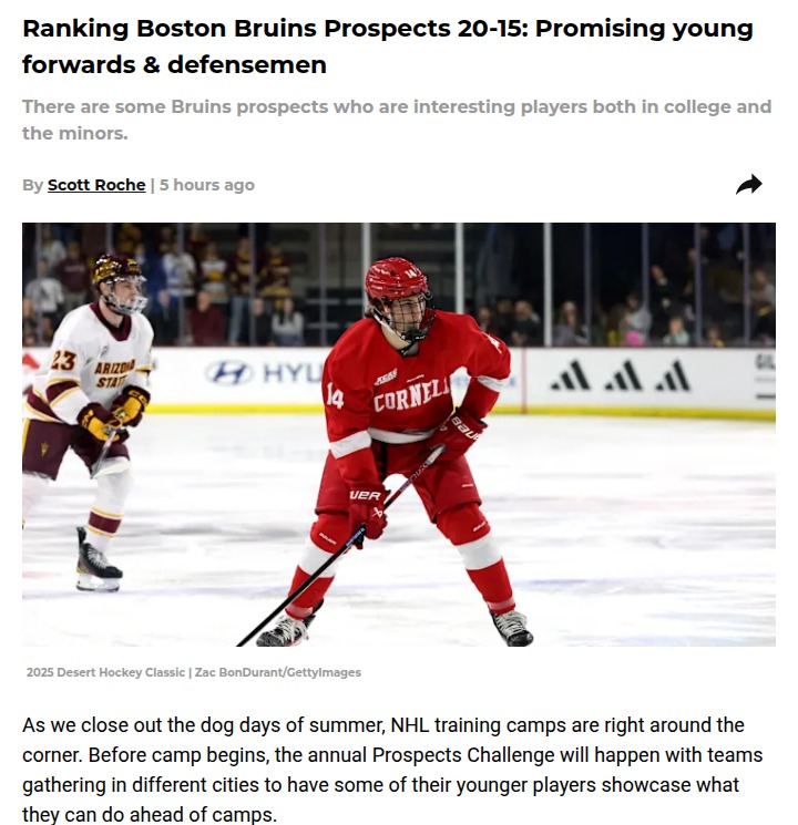 Boston Bruins prospects to watch this season
