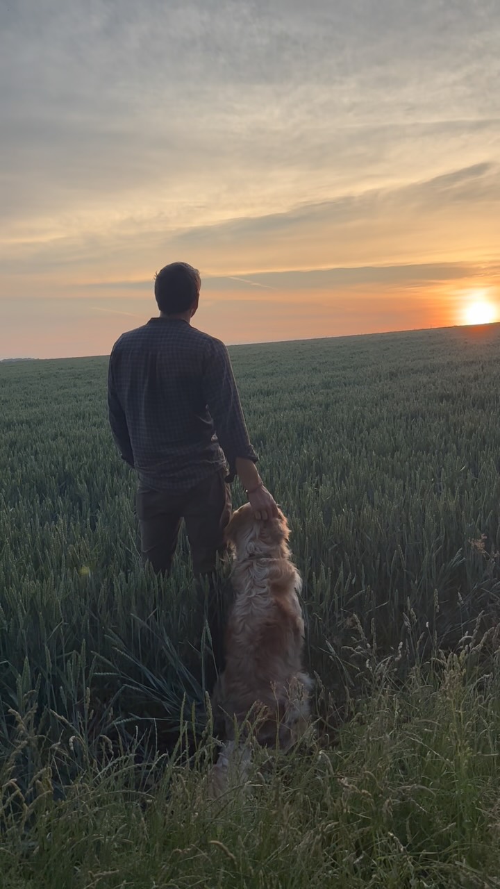 Golden Retriever Dad Melts Hearts