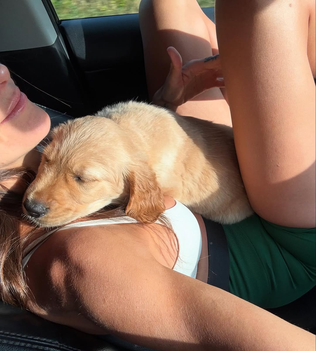 Golden Retriever Dad Melts Hearts