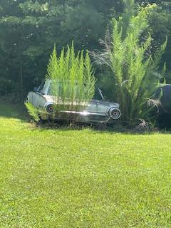 How do I convince some stranger to sell me their Thunderbird that hasn't moved in 8 years?