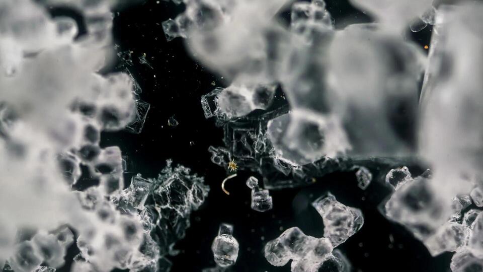 Crystal That Breathes: The Future of Energy