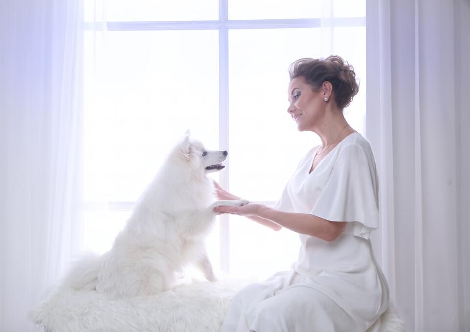 Dog Joys We Often Overlook