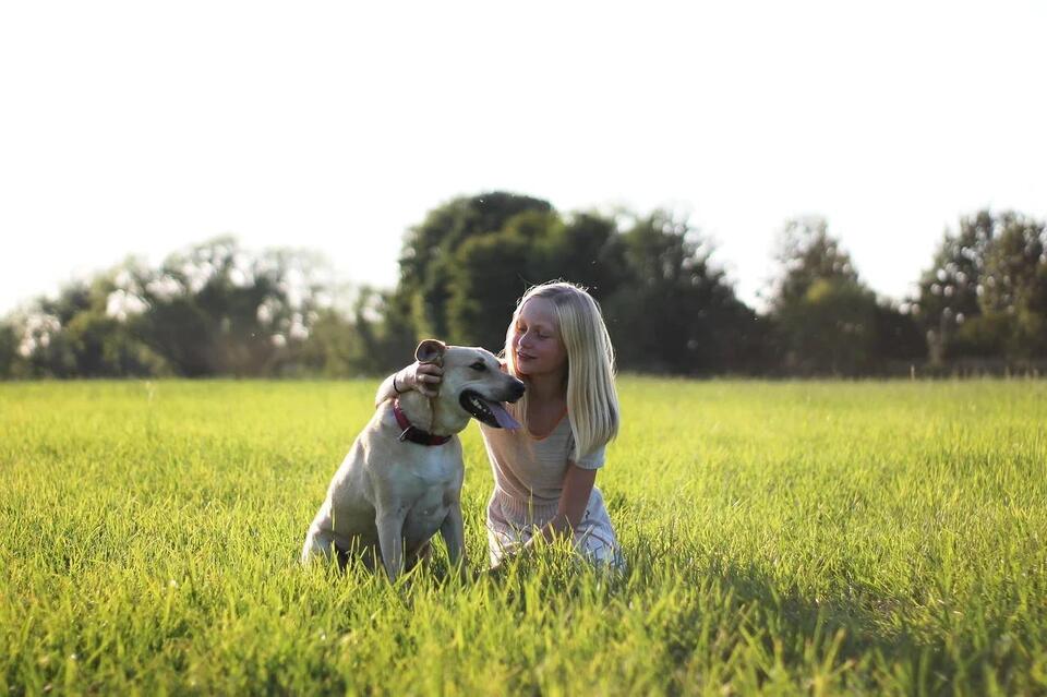 Dog Joys We Often Overlook