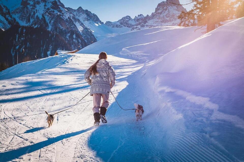 Dog Joys We Often Overlook