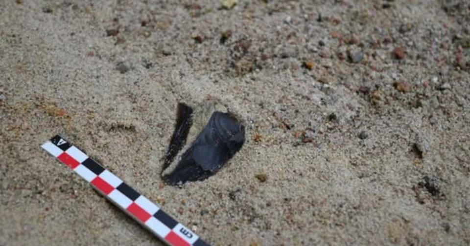 Neanderthal Workshop Unearthed!