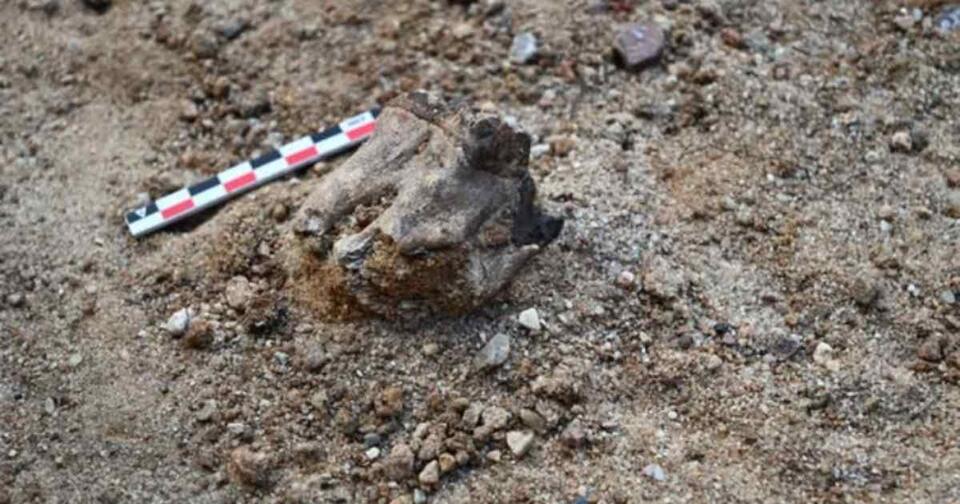 Neanderthal Workshop Unearthed!