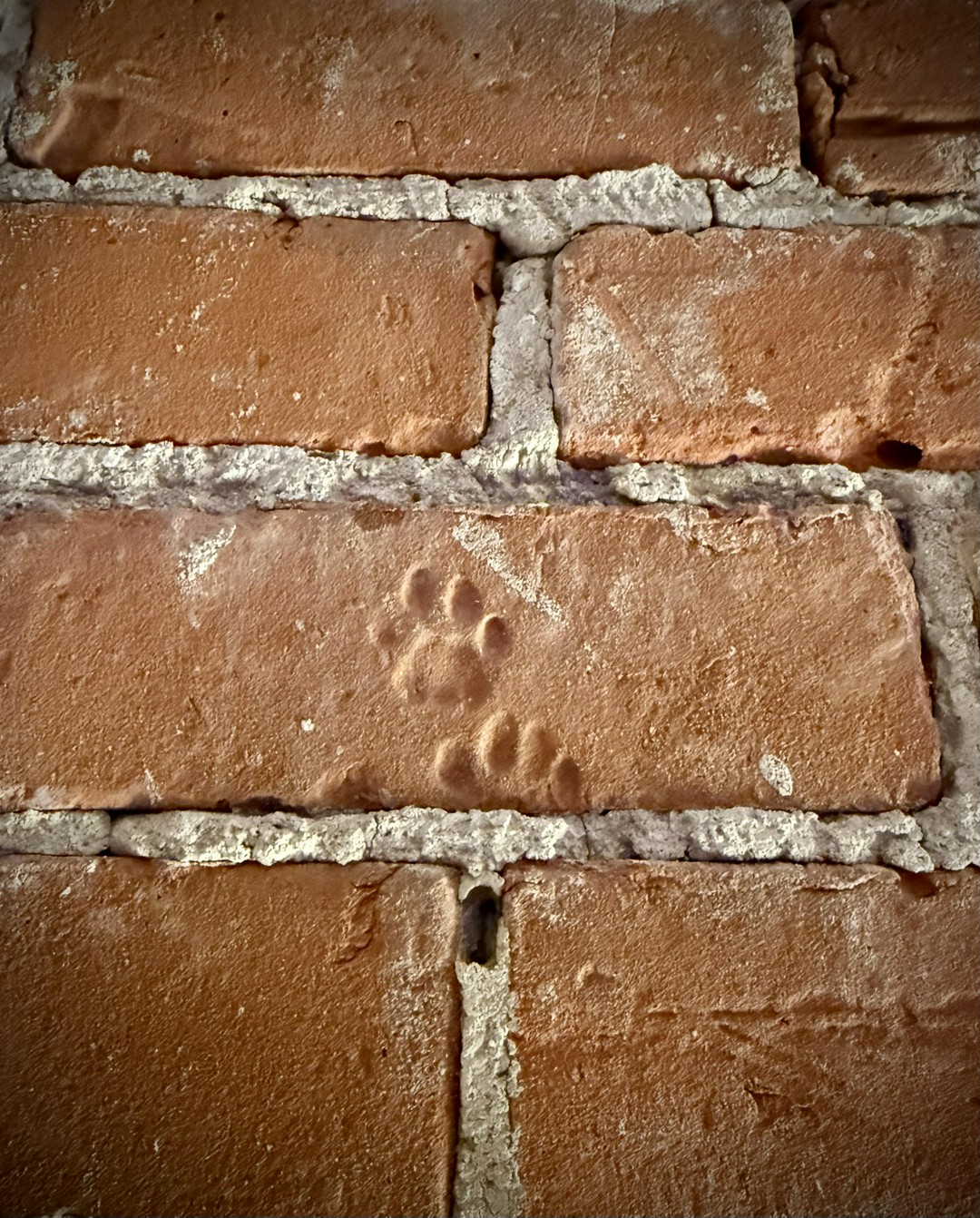 Found The Sweetest 160 Year Old Paw Prints In My New Loft 💕
