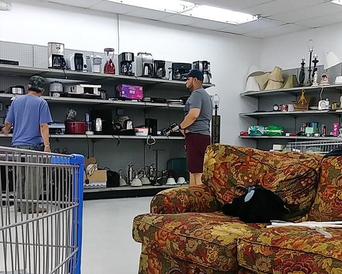 Lawrenceville’s thrift store treasure hunt