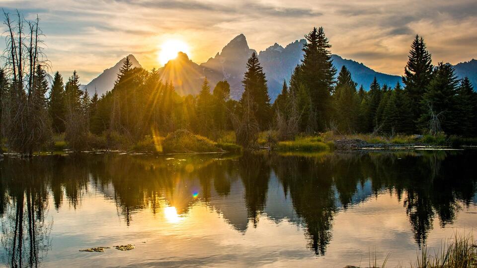 Rabies scare at Grand Teton lodge: What you need to know