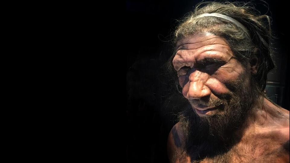 Did This Tiny Gene Change Make Us Human?