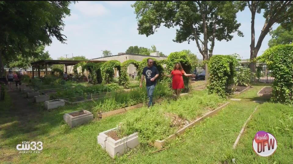 Dallas’ Garden Cafe: Fresh eats from their own garden