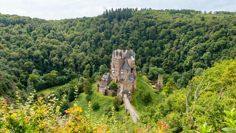 Rick Steves' Castle Pick Sparks Debate 🏰