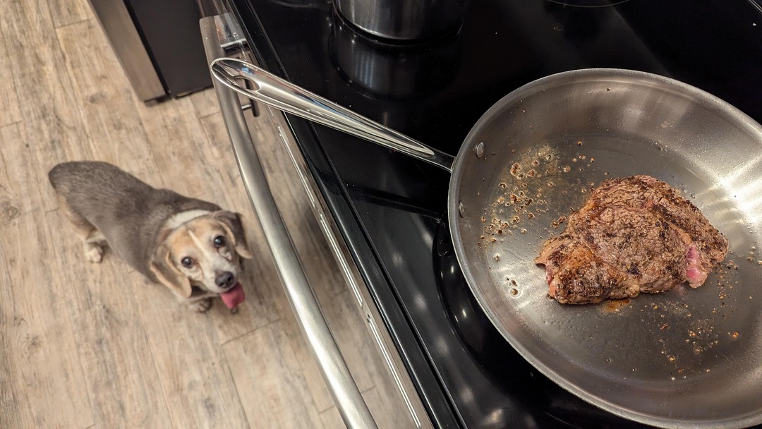 Anyone else have a kitchen helper?