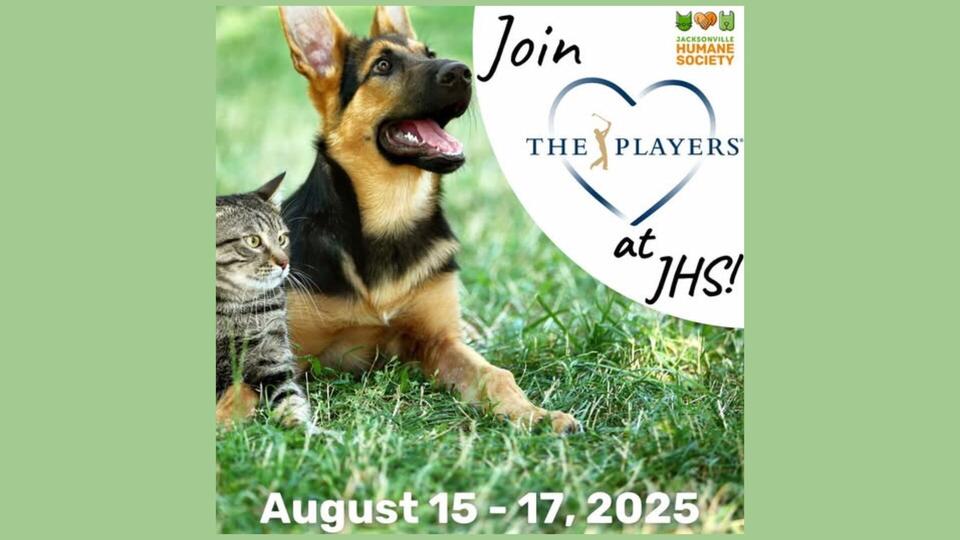 Jacksonville’s pet adoption weekend: Free pups & more!
