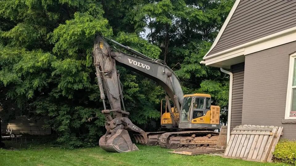 Backyard trees destroyed—what would you do?