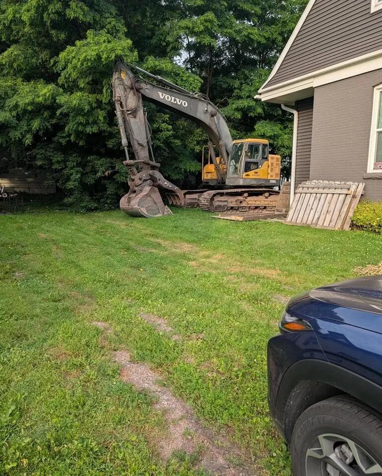 Backyard trees destroyed—what would you do?