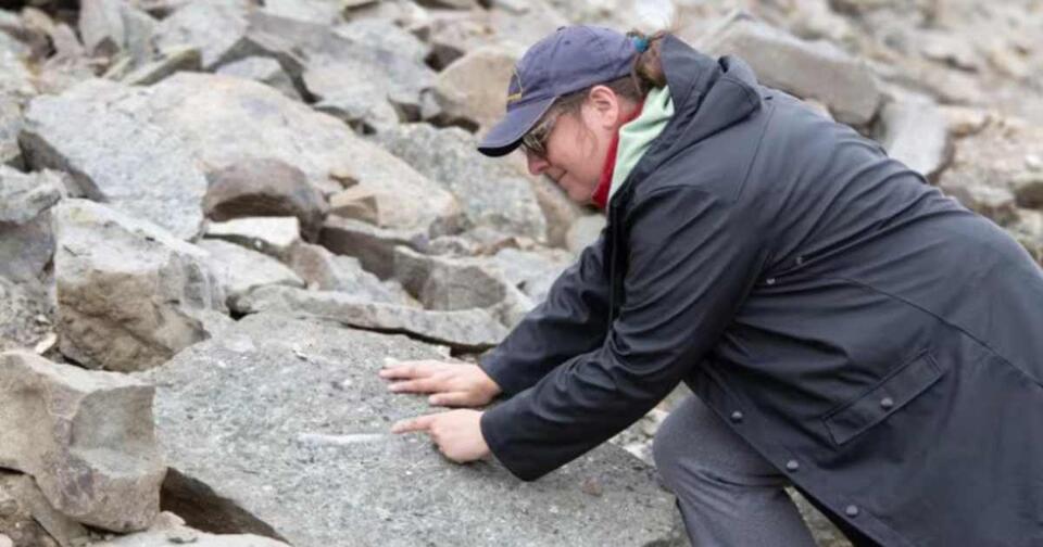 Dino Jackpot in Canada’s Wild Mountains