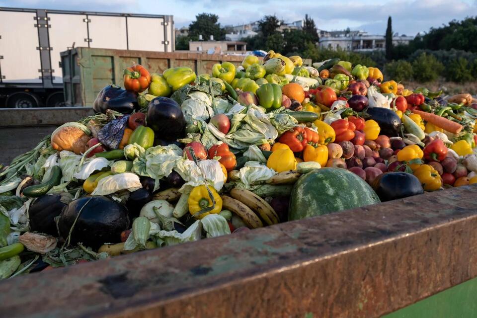 Dumpster diving reveals shocking food waste
