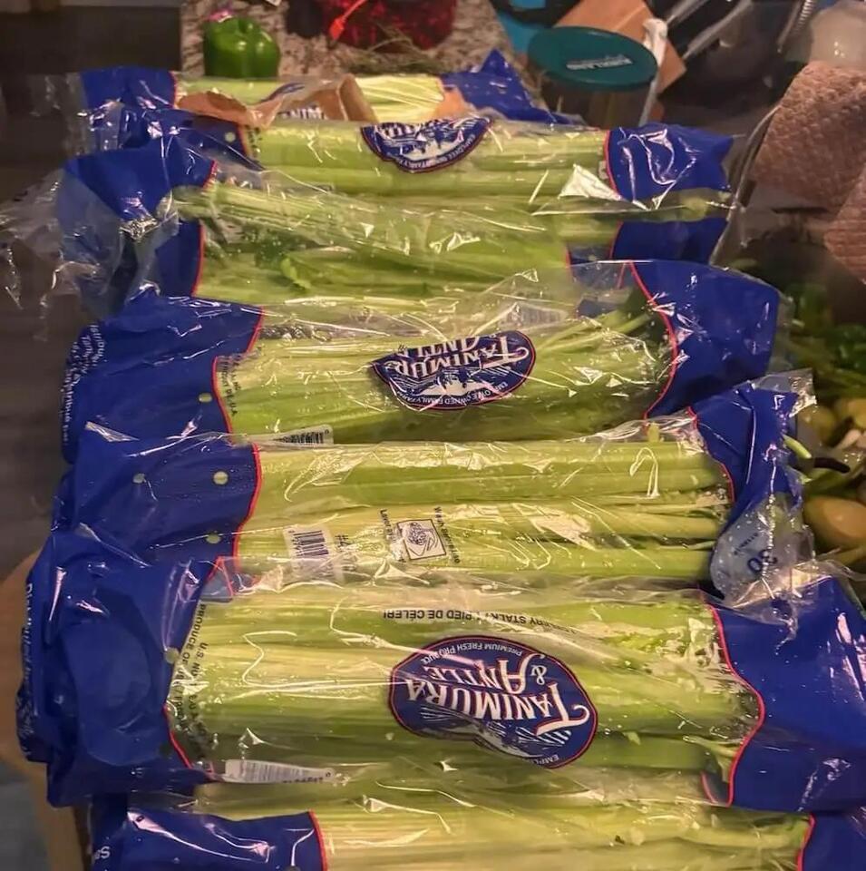 Dumpster diving reveals shocking food waste