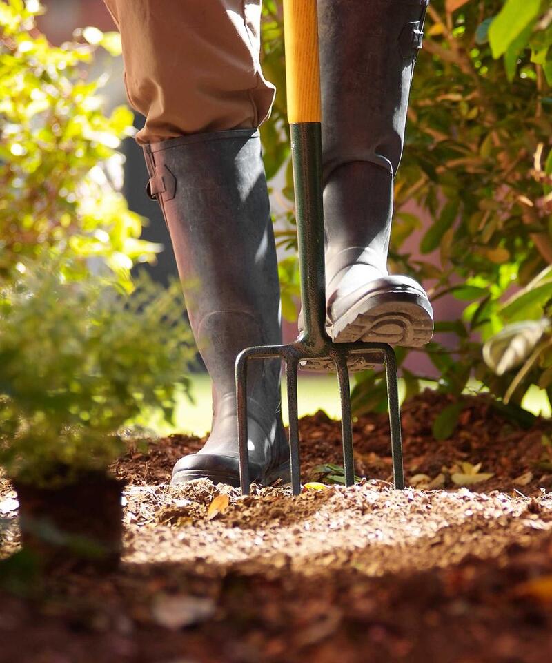 Garden mistakes to avoid this August