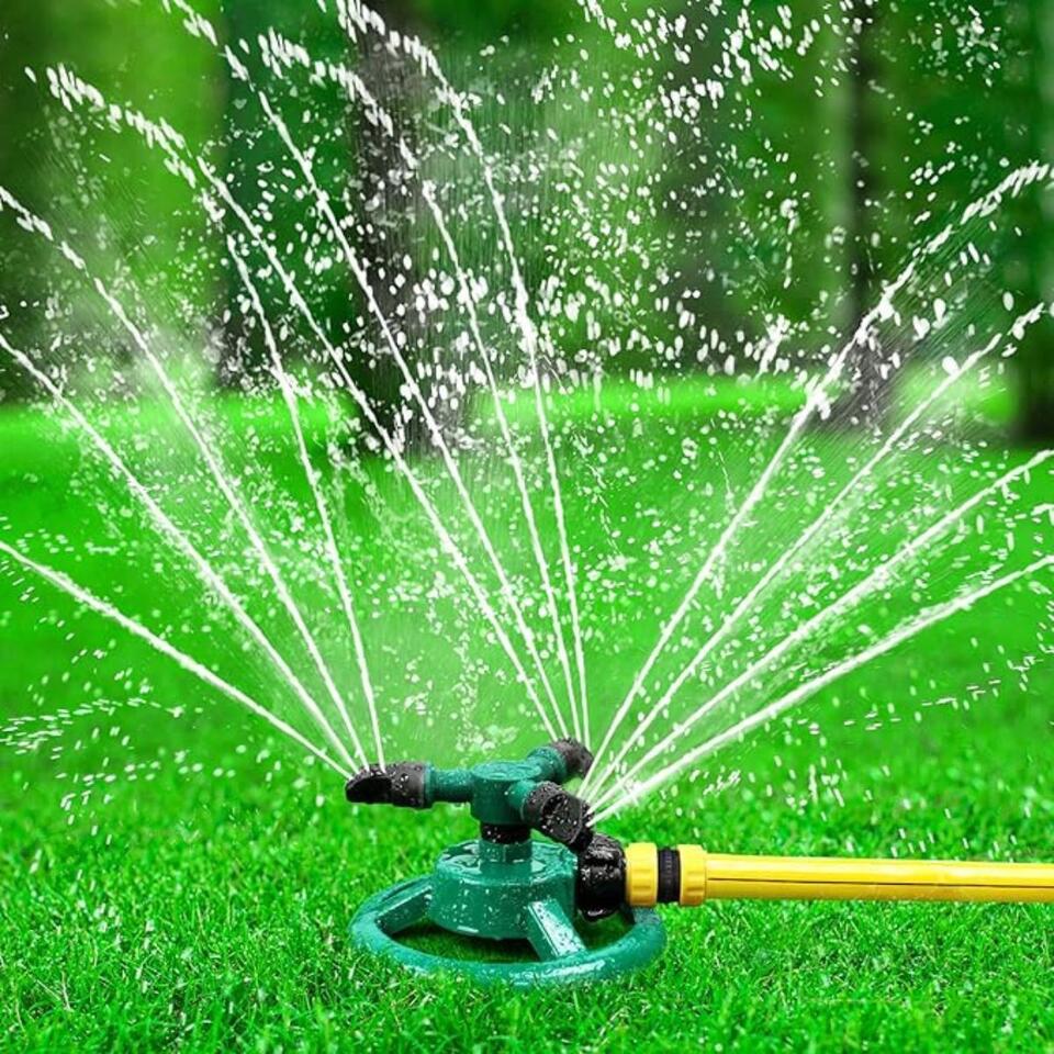 Garden mistakes to avoid this August