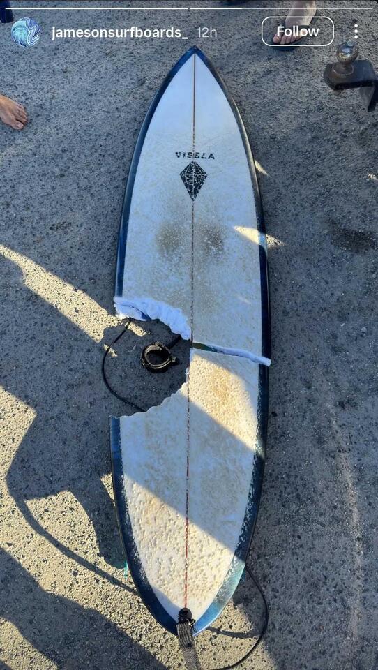 Shark vs. Surfer: Board Snapped in Half!
