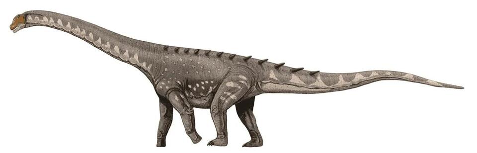 Dinosaur Drama: Qunkasaura Shakes Up Spain!