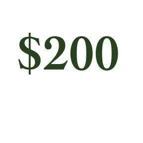 how a $200 side project became a steady paycheck