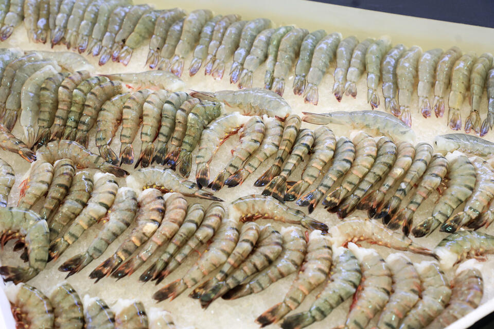 Radioactive Shrimp at Walmart?!