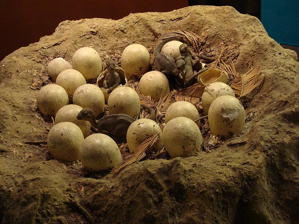 Dino Moms & Dads Were Total Softies?!