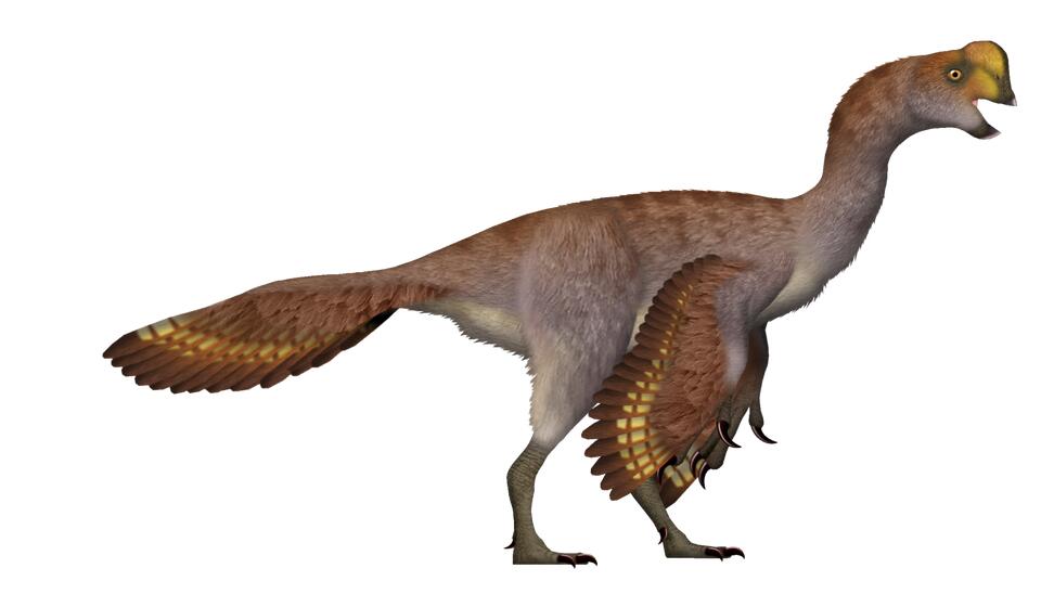 Dino Moms & Dads Were Total Softies?!